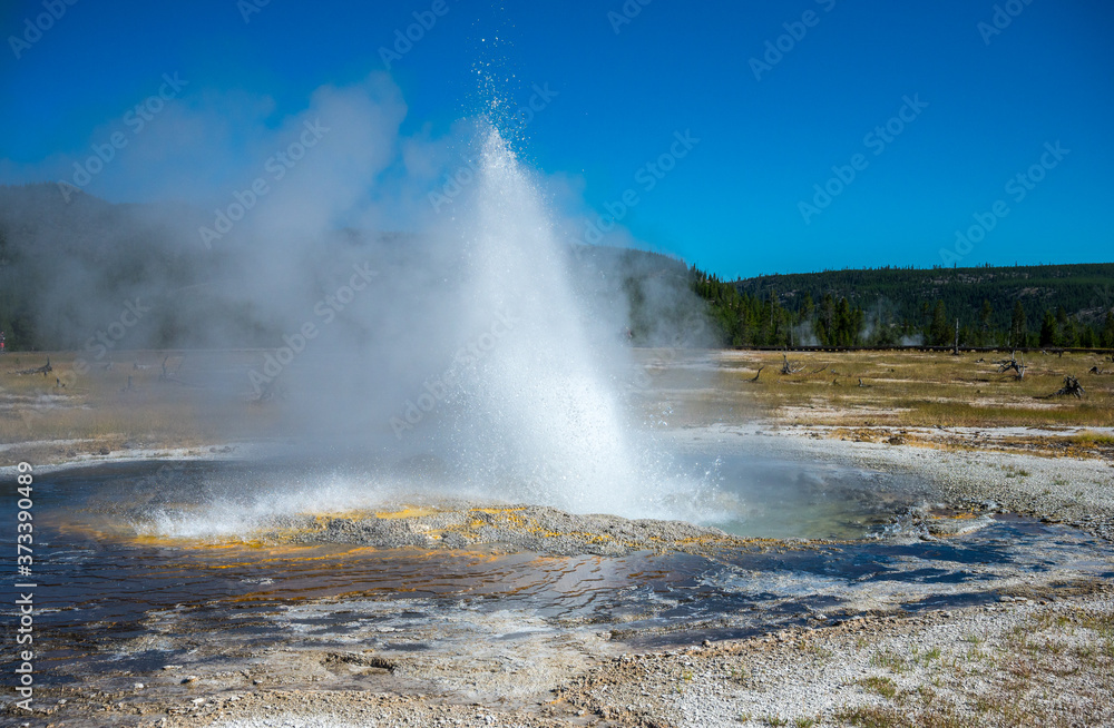 Cliff Geyser at Black Sand Basin in Yellowstone National Park