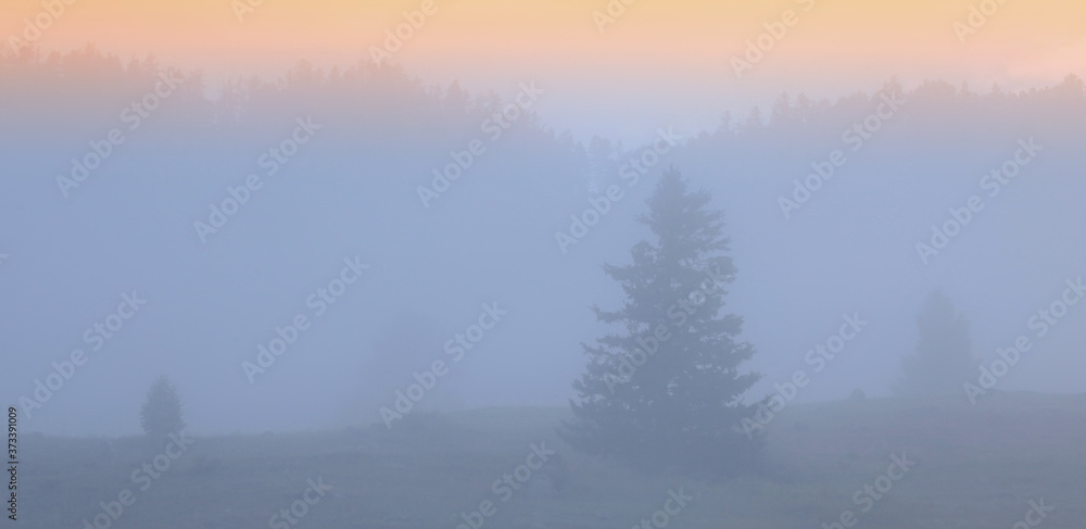 Dawn on a foggy morning, dreamy landscape, soft focus lights