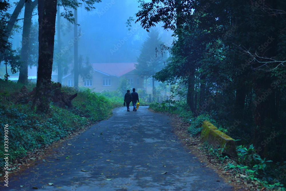 Fototapeta premium People taking a walk in the woods