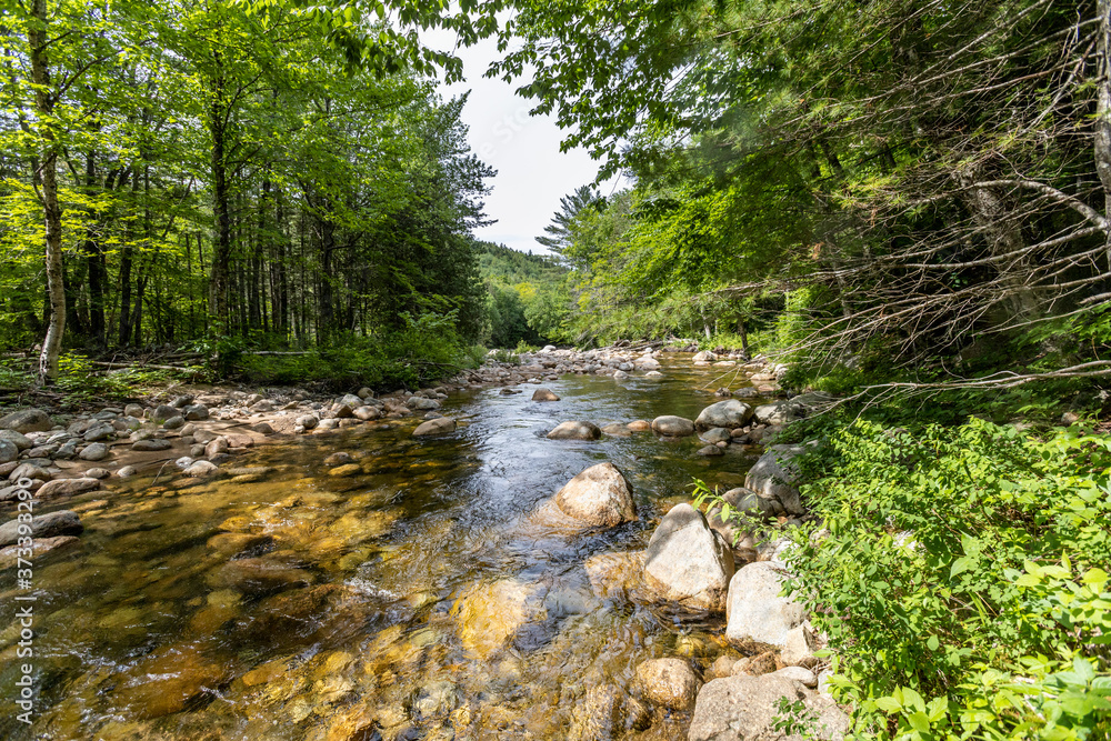 The East Branch Pemigewasset River flows around an island near the intersection of the Lincoln Woods and Bondcliff hiking trails.