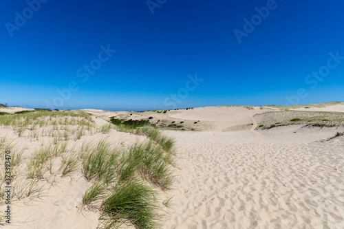 Obraz na plátně The dune trails of Provincetown rpovide challening hiking iwth rewarding views a