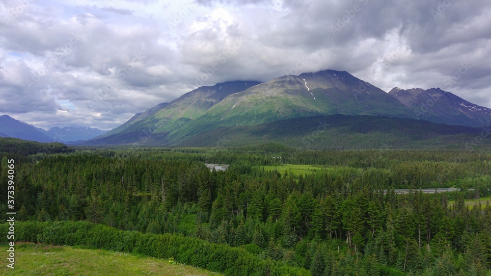 Summer views from the Alaska wilderness Summer views from the Alaska wilderness