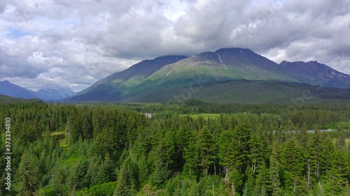 Summer views from the Alaska wilderness  © Michael & Tiffany