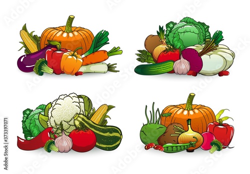 Farm vegetables vector icons squash  bell pepper and cauliflower with beetroot. Potato  onion and radish with broccoli  red chili  eggplant and carrot with beans and cabbage isolated cartoon veggies