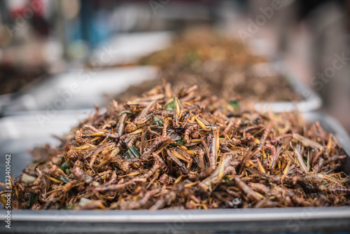 Locusts are fried and eaten as a snack. Chatuchak Weekend Market Bangkok, Thailand