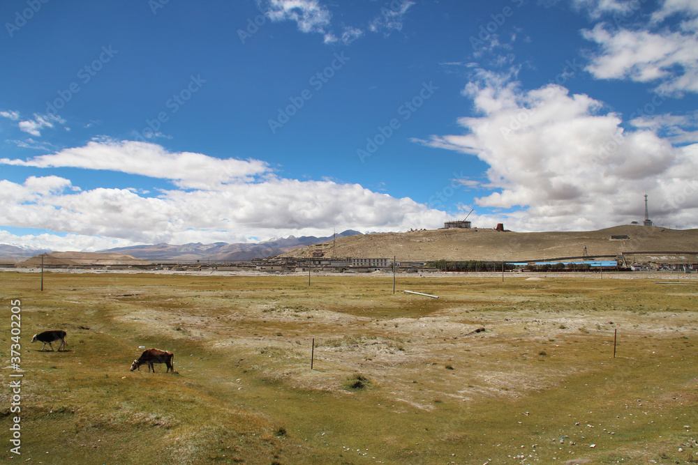 View of the Himalaya mountains and Tibetan village with yaks in Tibet, China