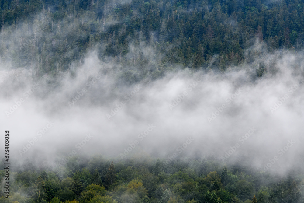 Majestic view on beautiful fog and cloud mountains in mist landscape. Majestic view on beautiful fog and cloud mountains in mist landscape.