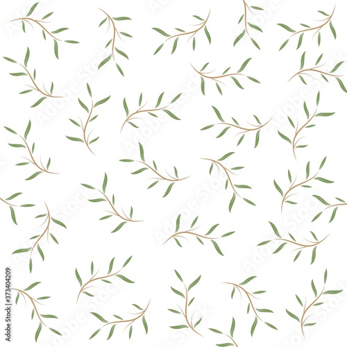 melaleuca cajuputi leaf background vector illustration design