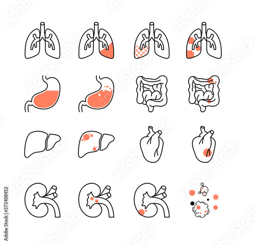 organ icon  organ disease icon  icon  lung  cancer  stomach  kidney  liver