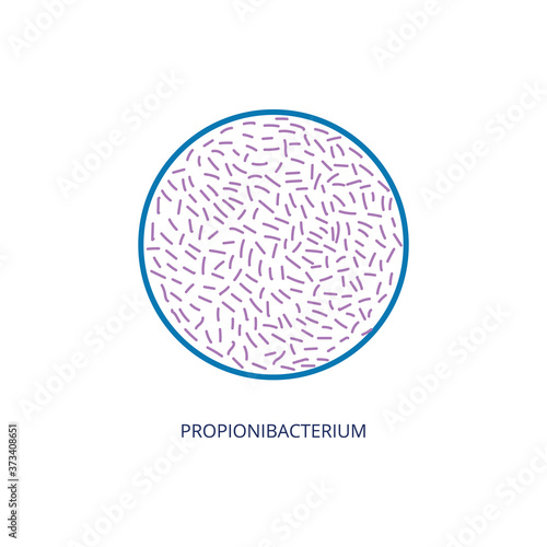 Propionibacterium bacteria of intestinal flora vector illustration isolated.