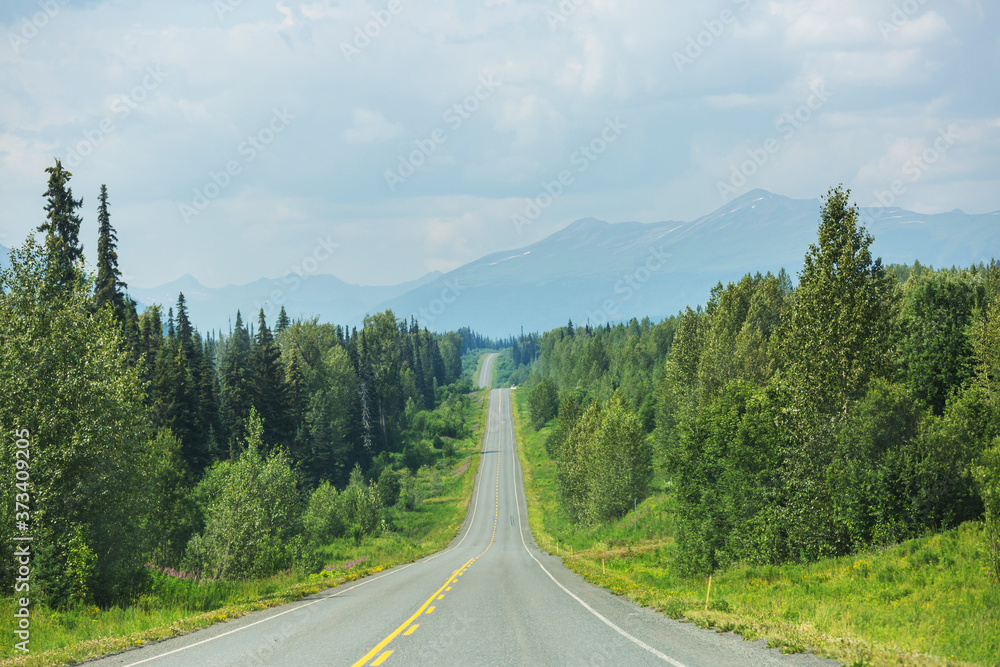 Road on Alaska