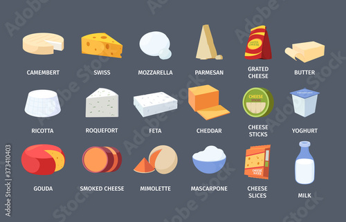 Cheese and dairy products set. Yogurt and pack fresh butter bottle of milk white cheeses with roquefort and feta mold round smoked orange triangle in passing soft pizza mozzarella. Vector cartoon.