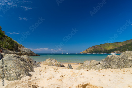 Tropical sandy beach landscape