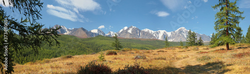 Fototapeta Naklejka Na Ścianę i Meble -  Altai Mountains on a summer morning, beautiful sky, panorama landscape