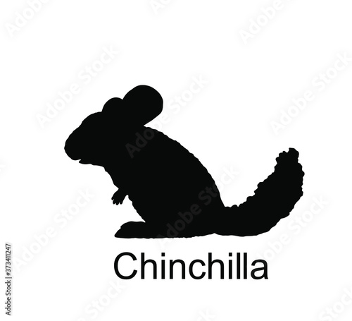 Chinchilla vector silhouette illustration isolated on white background. Cute little pet, rodent animal.