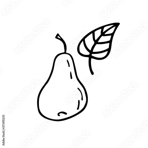 Pear and leaf. Hand drawn vector doodle elements.