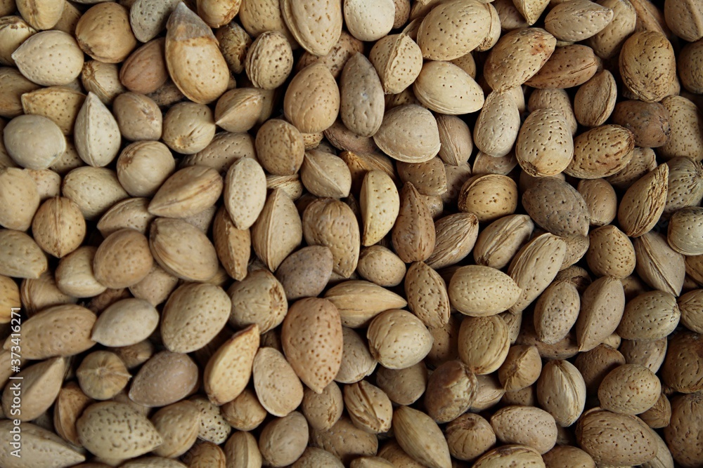 raw almonds in shell, could be used like the background raw almonds in shell, could be used like the background