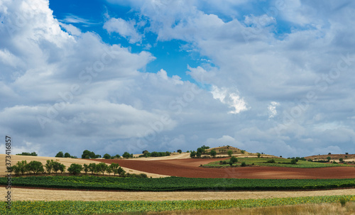 Landscape with cultivated fields and blue sky with white clouds in the Ribera del Duero region in Spain.
