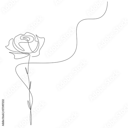 Rose continuous line drawing on white background. Vector illustration