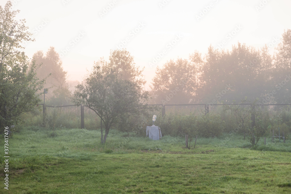 Thick fog. Rural landscape on a early foggy morning in the village. Thick fog. Rural landscape on a early foggy morning in the village.