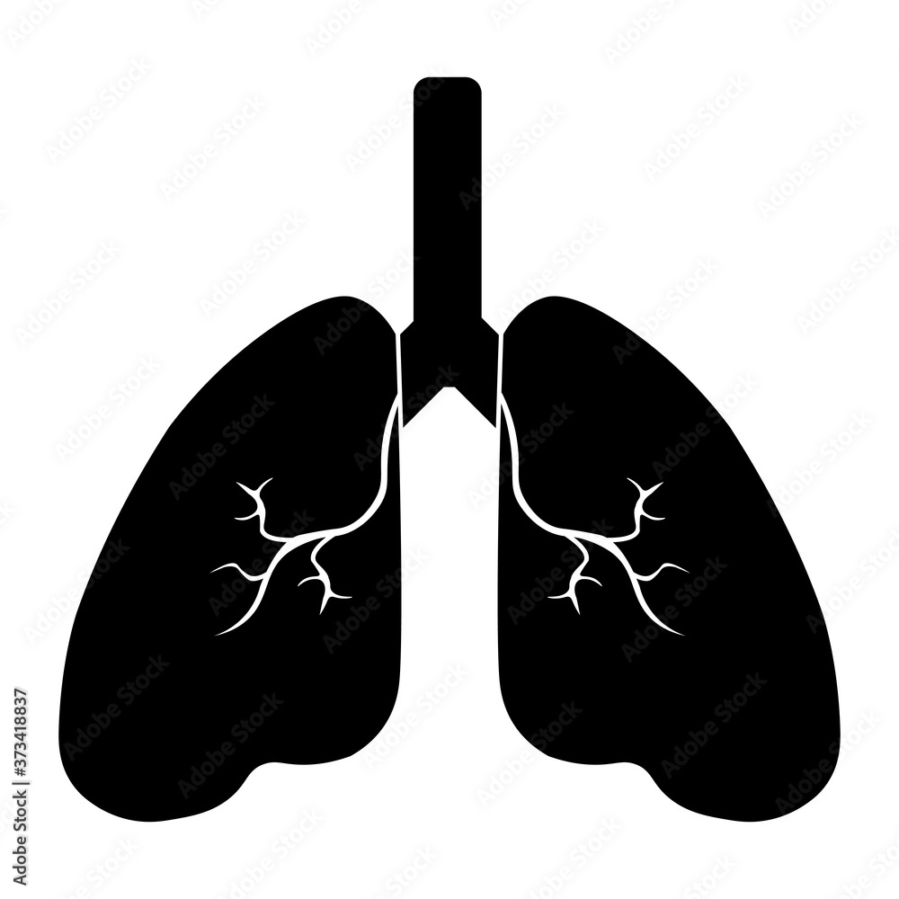 Lung human icon, respiratory system healthy lungs anatomy flat medical organ icon Lung human icon, respiratory system healthy lungs anatomy flat medical organ icon