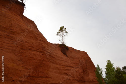 Colorado provençal photo