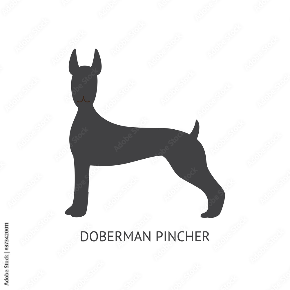 Black silhouette of a dog of the Doberman Pinscher breed, animal and pet concept.
