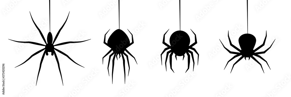 halloween spider's web vector. black spider on white background. danger insect. horror banner, scary poster. cobweb isolated decoration stock illustration. october holiday flyer mockup mock up - obrazy, fototapety, plakaty 