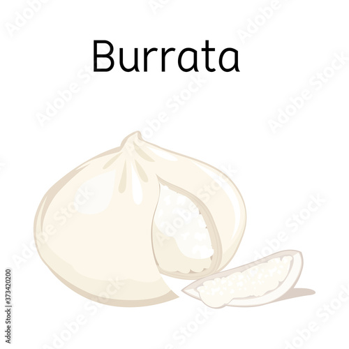 Vector illustration of cheese and burrata icon. Graphic of cheese and piece vector icon for stock.