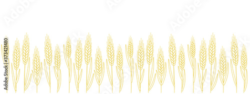 Wheat field. Leaves and ears. Agriculture straw. Horizontal banner background. Dry yellow grass meadow. Orange contour vector line. Bread wrapper. Copy space.