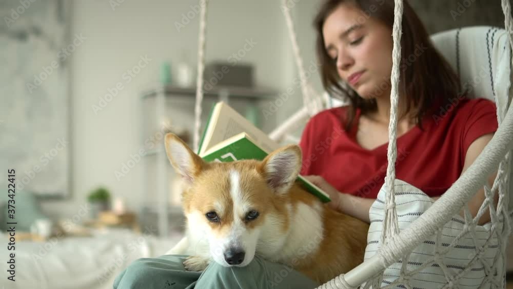 young woman sit on swing chair at home and read book with corgi dog on knee Avki. resting with pet animal and literature. concept friendship, comfort, cosy. modern interior. young woman sit on swing chair at home and read book with corgi dog on knee Avki. resting with pet animal and literature. concept friendship, comfort, cosy. modern interior.