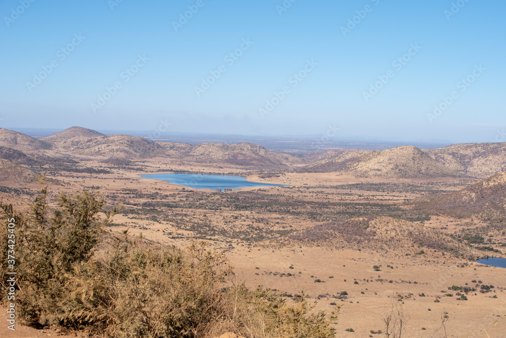 Winter landscape of the south african bush.