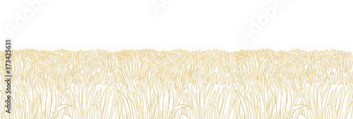 Dry field. Yellow thick grass meadow. Orange lawn. Hand drawn sketch. Horizontal banner background. Vector contour line. Copy space.