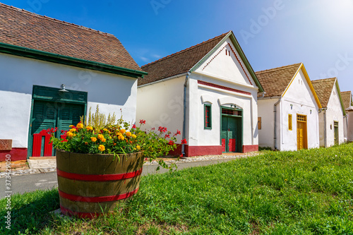 Famous hungarian gastro village Palkonya in Hungary street view with summer flowers photo