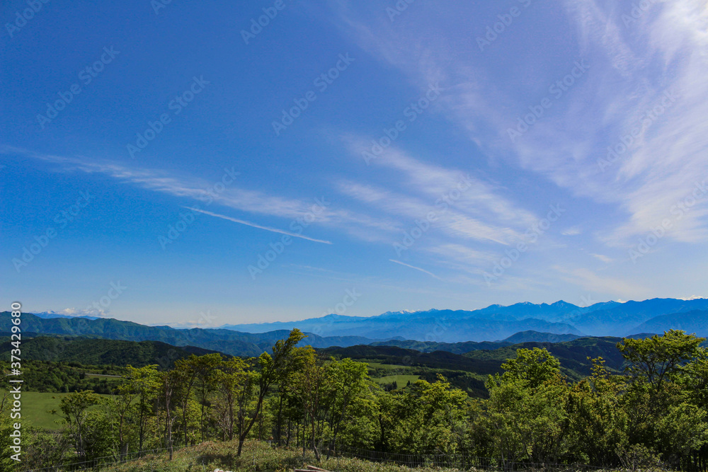 茶臼山高原と南アルプスの山々