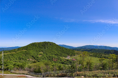 茶臼山高原 萩太郎山(芝桜の丘)から茶臼山を眺める