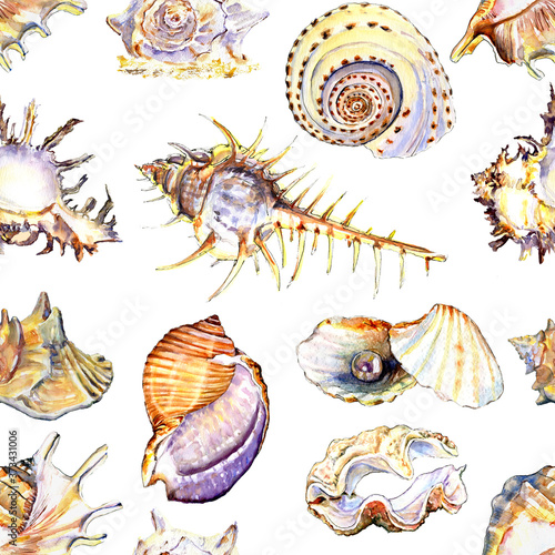 watercolor seamless pattern with shells realistic illustration. Conch, fan shell, cockle-shell, pearl shell, clam