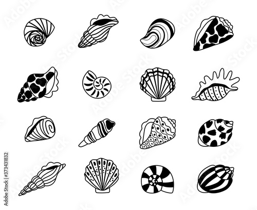 Seashells sketch icons. Sea conchas of clam and oyster sketches, kraken elements of concept of ocean treasure, vector illustration marine shell isolated on white background