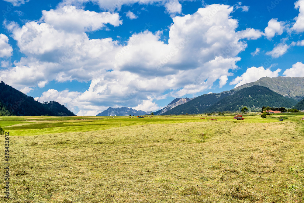 Obraz premium Val Venosta, Vinschgau, Alto Adige, Italy. View over Mals in South Tyrol