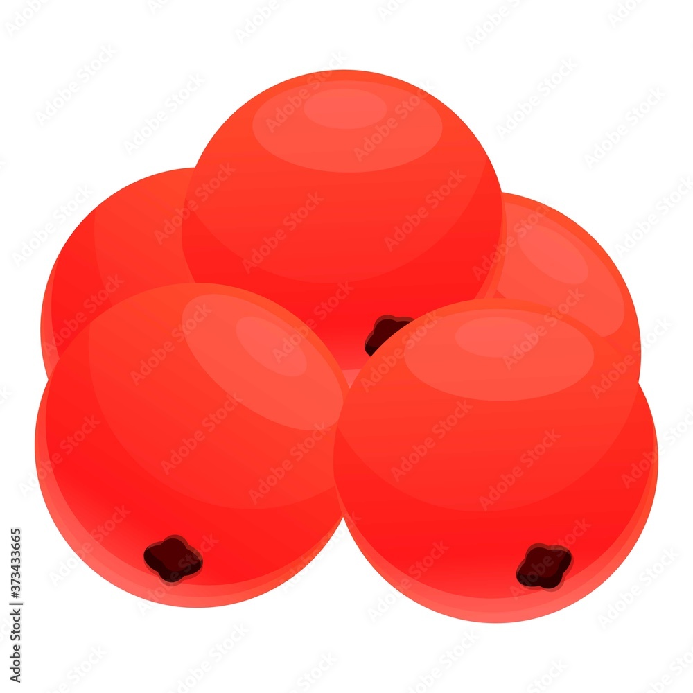 Rowan icon. Cartoon of rowan vector icon for web design isolated on white background Rowan icon. Cartoon of rowan vector icon for web design isolated on white background