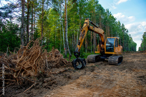 Fototapeta Naklejka Na Ścianę i Meble -  Excavator Grapple during clearing forest for new development. Tracked Backhoe with forest clamp for forestry work. Tracked timber Crane and Hydraulic Grab log Loader.