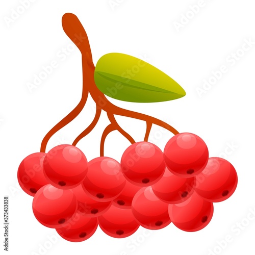 Rowan sorbus icon. Cartoon of rowan sorbus vector icon for web design isolated on white background