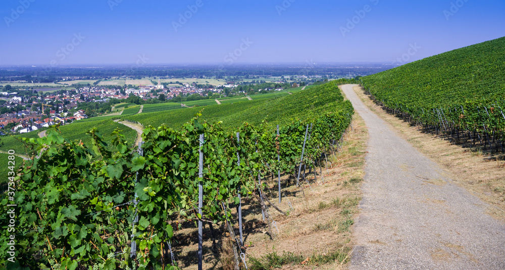 Fototapeta premium View from Fremersberg to the town of Sinzheim with the Rhine valley near Baden Baden. Baden Wuerttemberg, Germany