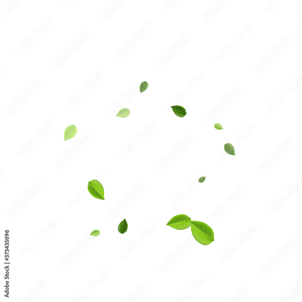 Grassy Foliage Tree Vector Pattern. Forest Leaf Grassy Foliage Tree Vector Pattern. Forest Leaf