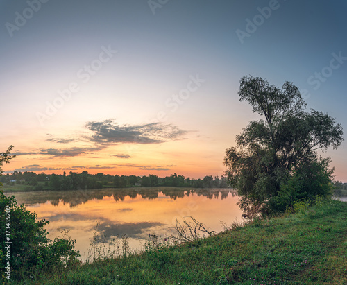 Summer landscape