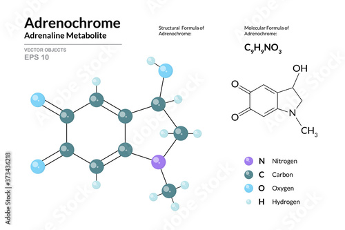 Adrenochrome. Adrenaline Metabolite. Structural Chemical Formula and Molecule 3d Model. Atoms with Color Coding. Vector Illustration