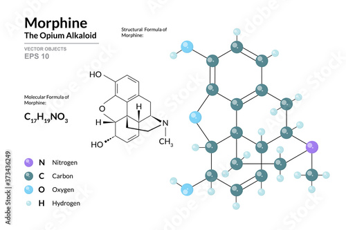 Morphine. Structural Chemical Formula and Molecule 3d Model. Atoms with Color Coding. Vector Illustration