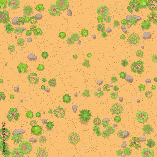 Desert with sand, stones and trees. Top view.