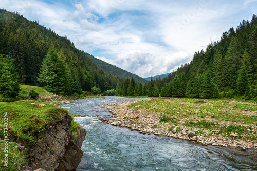 Fototapeta Naklejka Na Ścianę i Meble -  Beautiful mountain river. Ukraine. Carpathians. Natural nature. T