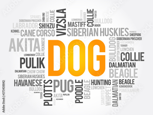 List of most popular dog breeds word cloud collage, animal concept background
